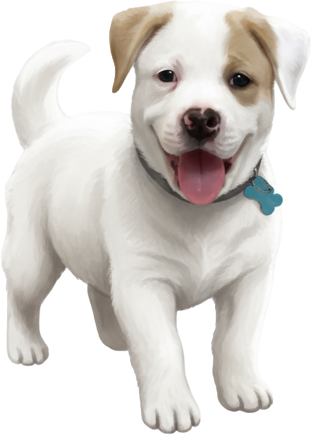 Mako, the TriviaDog mascot